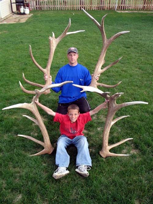 Two Elk Sets Over 400 Inches! - MonsterMuleys.com